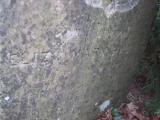 image of grave number 365969
